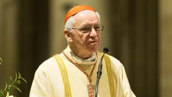 <p>Kardinal Jozef De Kesel</p>