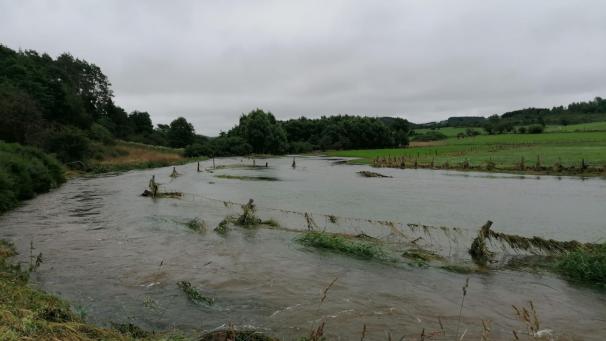 <p>Auch in Ostbelgien, vor allem im Ourtal, hatten Landwirte nach der Hochwasserkatastrophe von Mitte Juli Schäden an ihren überfluteten Ländereien zu beklagen.</p>