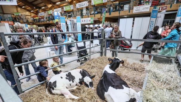 <p>Die Libramont-Messe für Land- und Forstwirtschaft und Agribusiness ist die größte Freiluftmesse Europas.</p>