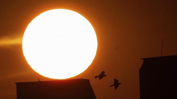 <p>Illustration: belga</p>