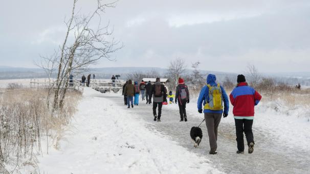 <p>Ausgebildete Ranger könnten einen Beitrag zu besseren Besuchersteuerung im Hohen Venn leisten, insbesondere auch im Winter.</p>