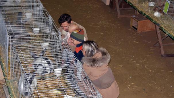<p>Die traditionelle Lokalschau des Kleintierzuchtvereins Weywertz und Umgebung (KKZV) lockte am Wochenende wieder viele Familien nach Bütgenbach.</p>