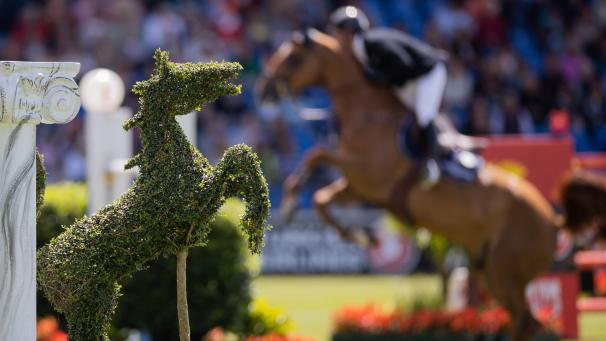 <p>Der CHIO Aachen ist ein seit 1924 in Aachen stattfindendes internationales Pferdesport-Turnier.</p>