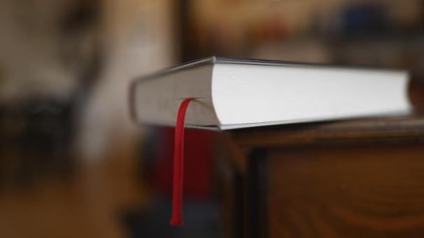 <p>Autoren und Autorinnen, die literarische Werke veröffentlichen möchten, können ebenfalls Fördermittel beantragen.</p>