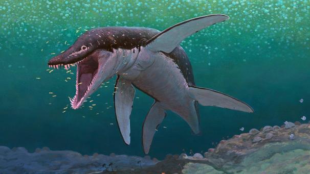 <p>Die künstlerische Darstellung zeigt den Pliosaurier Lorrainosaurus.</p>