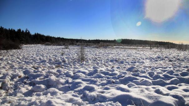 <p>Das Hohe Venn könnte schon bald in weißem Glanz erstrahlen.</p>