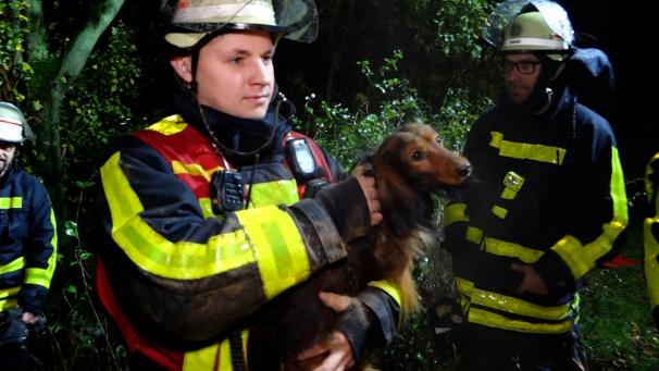 <p>Ein Feuerwehrmann hält einen Dackel in seinen Armen. Der Hund hatte für einen stundenlangen Einsatz gesorgt, als er im Uferbereich eines Sees in einem rund 25 Zentimeter großen Eingangsloch eines Tierbaus verschwand und nicht mehr von allein heraus kam. Mit Hilfe eines Kleinbaggers konnte das Tier nach sechs Stunden gerettet werden.</p>
