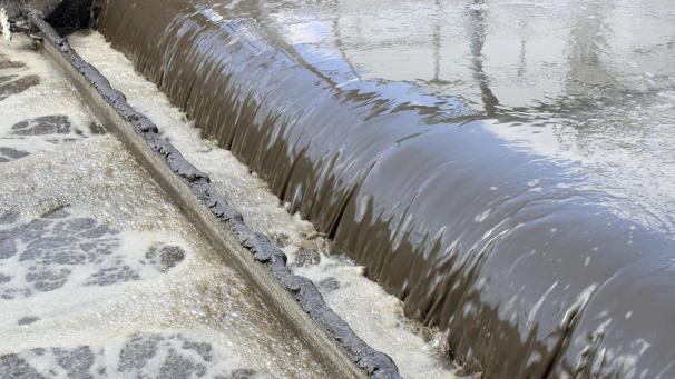 <p>PFAS finden unter anderem über Kläranlagen ihren Weg in Flüsse, Seen und Meere.</p>