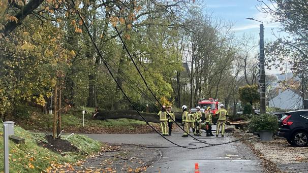 <p>Ein stattlicher Baum ist am Sonntagmorgen im Ortsteil Stockem auf die Straße gestürzt.</p>