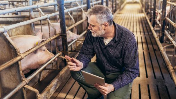 <p>Belgaimage-64594825</p>