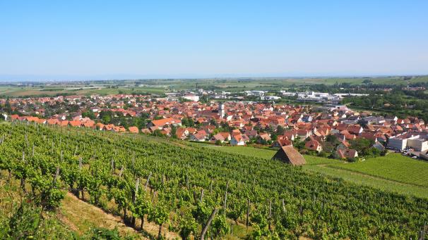 <p>Ein Blick auf den elsässischen Ort Marlenheim</p>