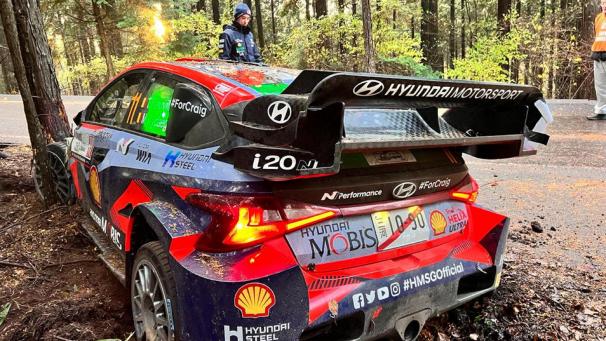 <p>In der sechsten Prüfung setzte Thierry Neuville den Hyundai neben die Strecke.</p>