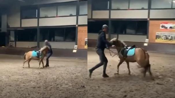 <p>Die Aufnahmen sind im Netz viral gegangen.</p>