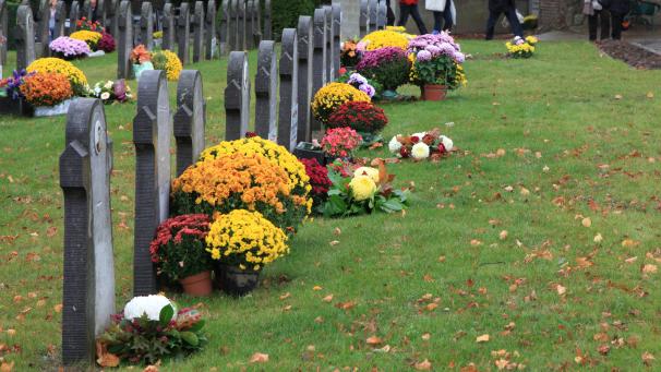 <p>Der jüdische Teil des Friedhofes wurde gezielt beschädigt, die restlichen Gräber blieben allesamt unversehrt.</p>