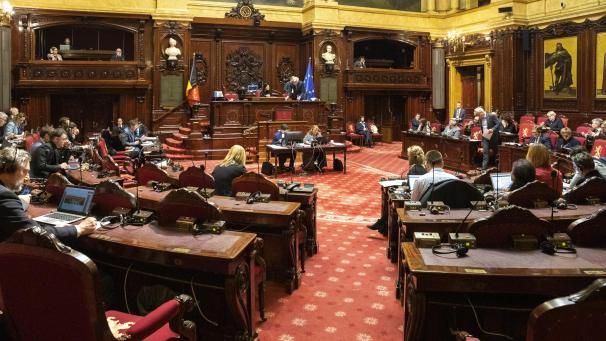 <p>Plenum des Senats</p>