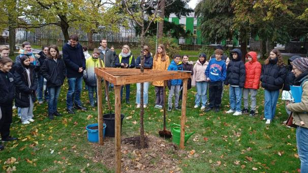 <p>Nachwuchs pflanzt Nachwuchs: Für den symbolischen Akt haben die KAE-Schüler sich eine weiße Zierkirsche „Tai Haku“ ausgesucht.</p>