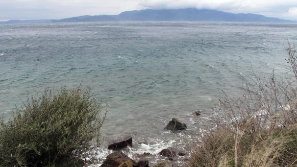 <p>Das Schiff ging nahe der Küste der griechischen Lesbos unter.</p>