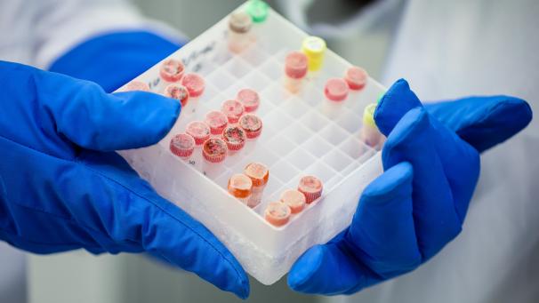 <p>Die erfolgreiche Nutzung von Implantaten gilt als Durchbruch in der Diabetesforschung.</p>