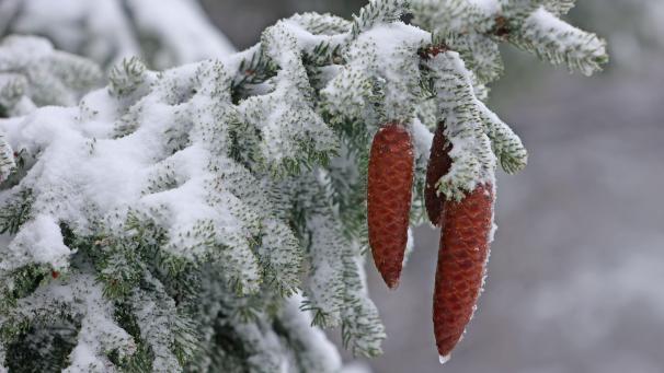 <p>Bei Minusgraden sollten Herz-Kreislauf-Patienten besonders vorsichtig sein.</p>