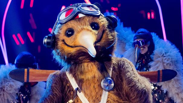 <p>Der plüschige Kiwi-Vogel ist aus der TV-Musiksendung „The Masked Singer“ ausgeschieden.</p>