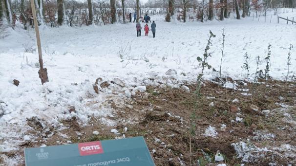 <p>Schilder der Firma Ortis liefern Erklärungen.</p>