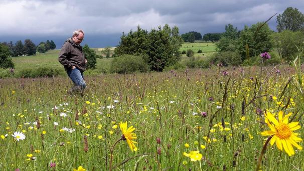 <p>Nach sieben Jahren steht das „LIFE“-Projekt „Nardus“ vor dem Abschluss.</p>