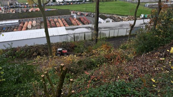 <p>Kahlschlag am Waisenbüschen in der Unterstadt: Seit der Fällung ist der Blick aufs Kabelwerk frei.</p>