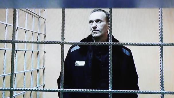 <p>Putin-Gegner Nawalny soll nun wieder aufgetaucht sein.</p>