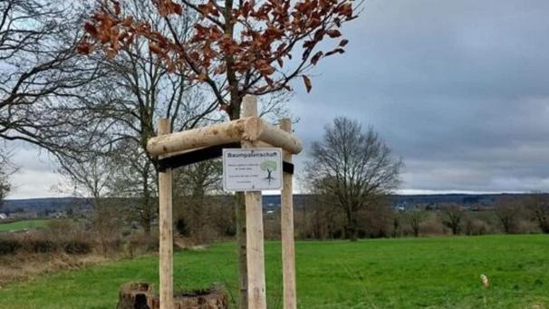 <p>Die Gemeinde Raeren dankt allen, die 2023 eine Baumpatenschaft übernommen haben.</p>
