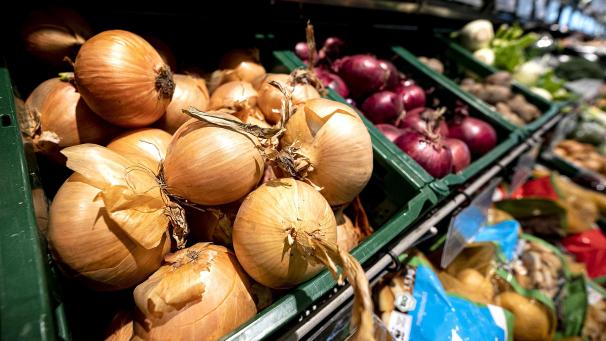 <p>Zwiebeln sind binnen eines Jahres im Schnitt 46 Prozent teurer geworden.</p>