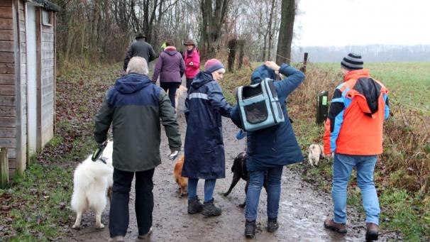 <p>Das schlechte Wetter konnte die Teilnehmer nicht vom Wandern abhalten.</p>