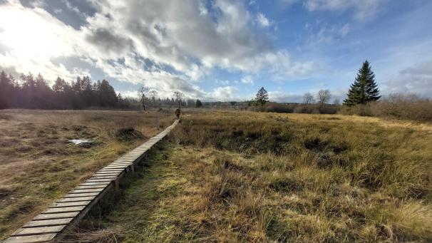 <p>Auch ohne Schnee lohnt sich eine Winterwanderung in Ostbelgien.</p>