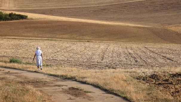 <p>Eine Frau geht zwischen trockenen Feldern entlang: Wissenschaftler warnen eindringlich vor den unumkehrbaren Folgen einer weiteren globalen Erwärmung.</p>
