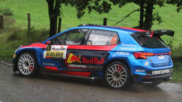 <p>Jos Verstappen (Skoda Fabia R2)</p>