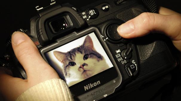 <p>Viele Tierhalter möchten ihre Vierbeiner gerne auf Fotos festhalten. Doch wie geht das am besten?</p>