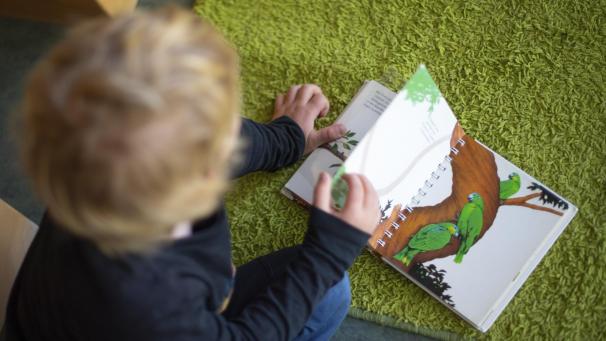 <p>Arlette Raxhon hat im Zuge einer Reform der Kinderbreuung ihre Stelle als Tagesmutter der DG verloren, da sie in Moresnet und damit außerhalb der DG wohnt, obschon sie vorher 18 Jahre lang als konventionierte Tagesmutter für das RZKB tätig war. Angebotene Alternativen kamen für sie nicht in Frage.</p>