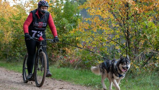 <p>Janina Reinertz hat vor vier Jahren ihren ersten Husky aufgenommen.</p>