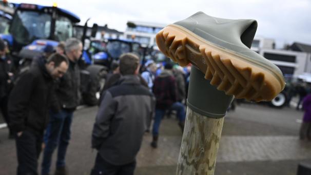 <p>Belgaimage-84817219</p>