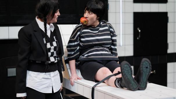 <p>d-20240111-H3JDL6_high</p>