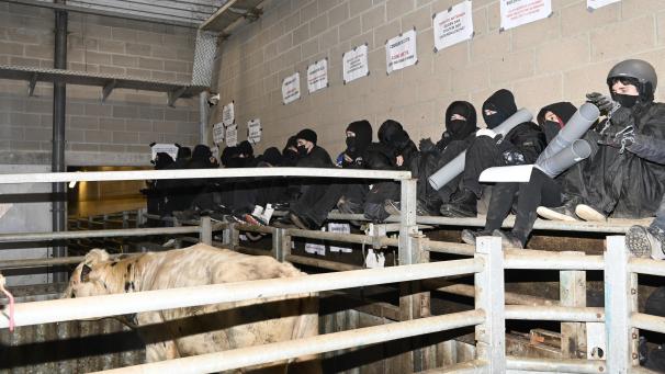 <p>Miltitante Tierschützer halten seit der Nacht zum Dienstag den St.Vither Schlachthof Pegri besetzt.</p>