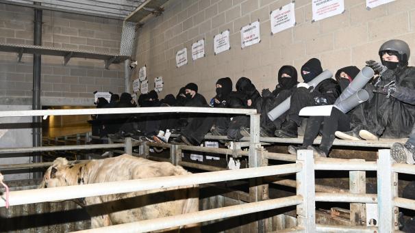 <p>In der Nacht waren die ca. 70 Aktivisten von „269 Libération animale“ illegal in den St.Vither Schlachthof eingedrungen und hatten sich dort festgebunden, um die Schlachtkette zu unterbrechen.</p>