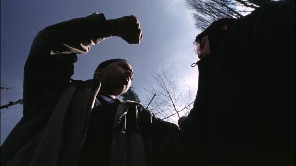 <p>Der junge Mann aus Grand-Halleux trug lebensbedrohliche Verletzungen davon.</p>