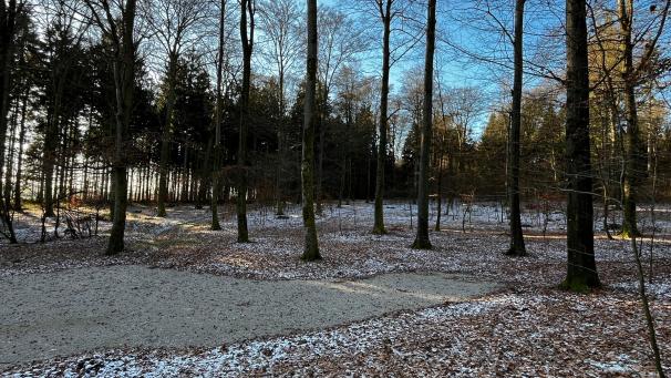 <p>170 Bäume und 16 Steine aus dem Wolfsbusch dienen in dem 2,5 Hektar großen Gelände als letzte Ruhestätte. Später kann der Bestattungswald erweitert werden.</p>