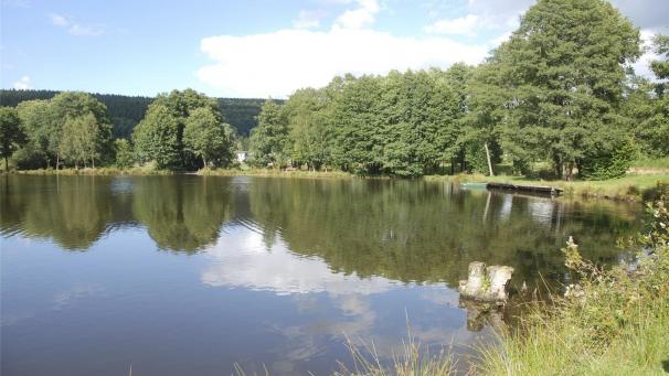 <p>Am 23. und 24. März stellt die VoG Fischereigesellschaft Rechter Weiher ihre Arbeit rund um die Gewässer vor.</p>