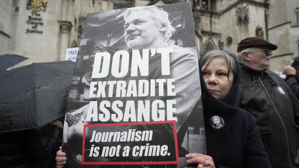 <p>Ein Demonstrant hält ein Plakat vor den Royal Courts of Justice.</p>