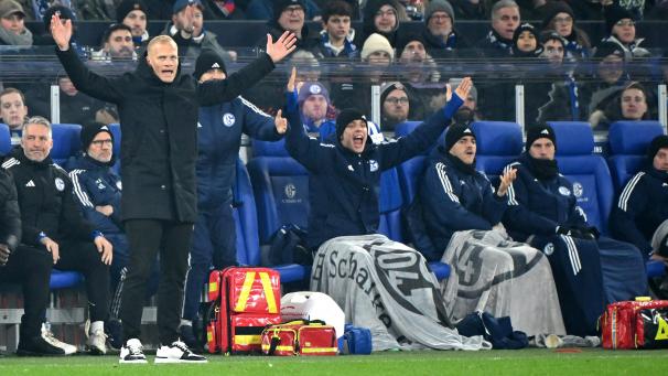 <p>Nach einem ständigen Auf und Ab steht Trainer Karel Geraerts auf Schalke in der Kritik.</p>