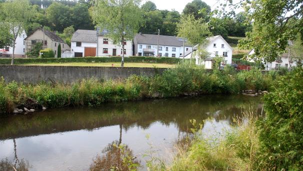 <p>AVES-Ostkantone lädt zur Zählung der Wasservögel an der Our in Schönberg.</p>