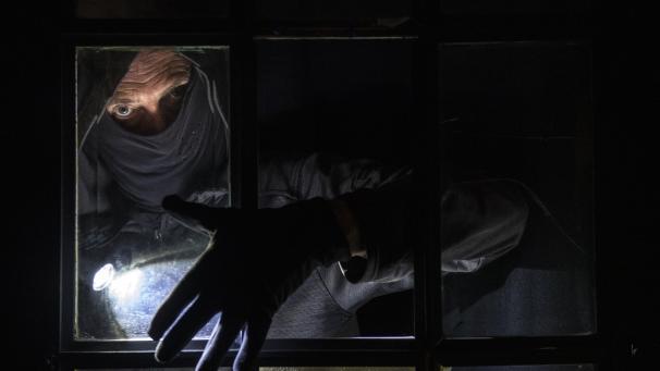 <p>Einbrecher drangen in Recht in Häuser ein.</p>