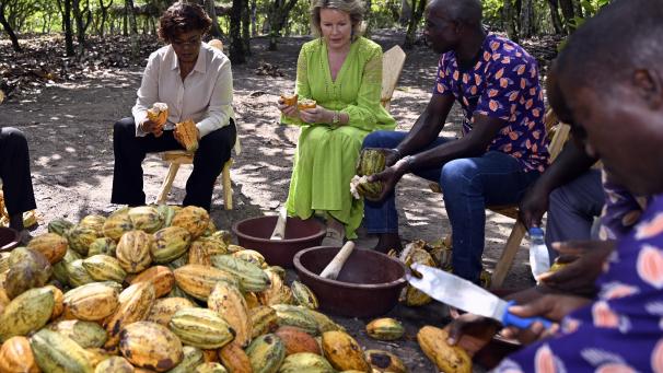 <p>Königin Mathilde traf bei ihrem Besuch in der Elfenbeinküste eine Gruppe Kakaobauern. Begleitet wurde sie von der ivorischen Entwicklungsministerin Kaba Nialé (links).</p>