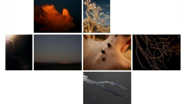 <p>Die Aufnahmen von Gregor Collienne sind „Zwischen den Zeiten“ entstanden.</p>